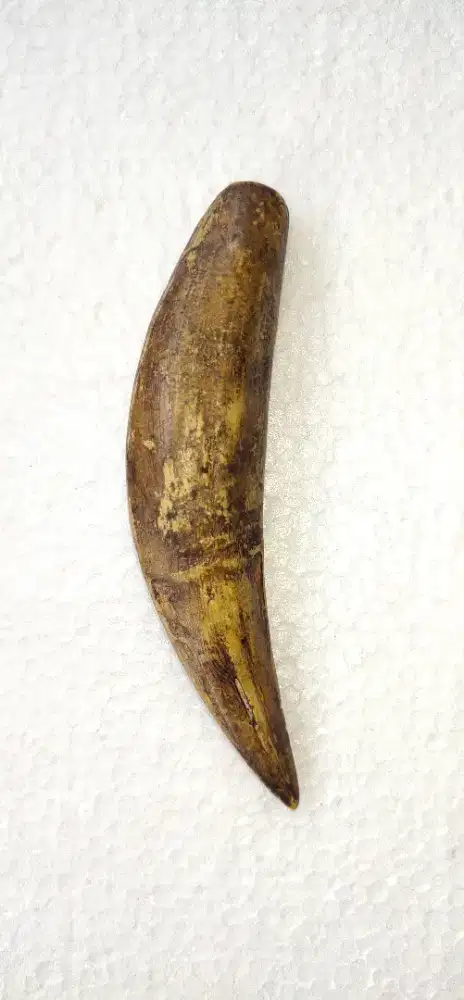 Liontin T#a#r H###M Natural Size Su**per Jum**bo
