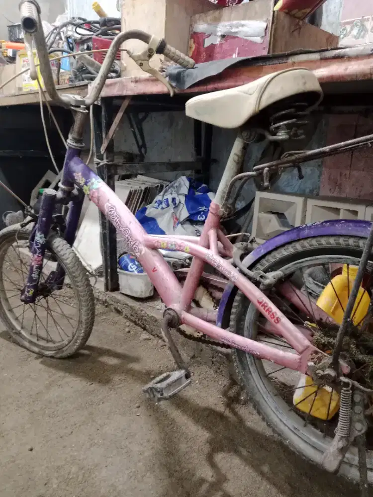 Sepeda anak wim cycle