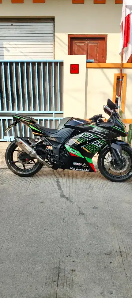 Kawasaki ninja 250