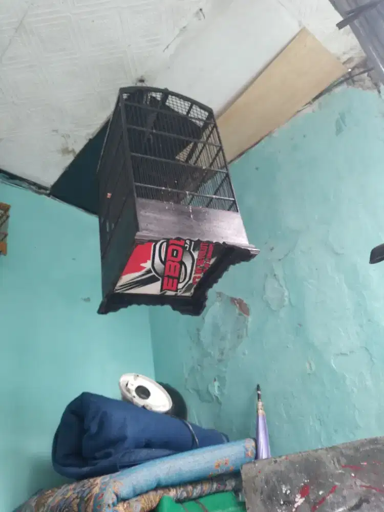 Kandang no 2 masih mulus tidak ada minus
