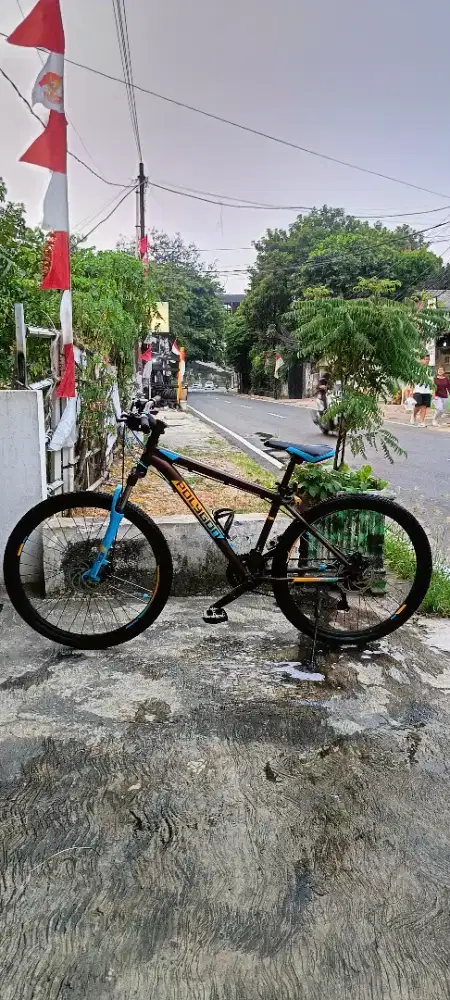 Sepeda mtb polygon monarch 5