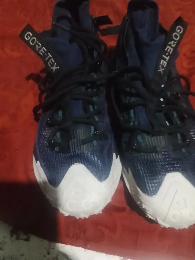Sepatu Nike goretex