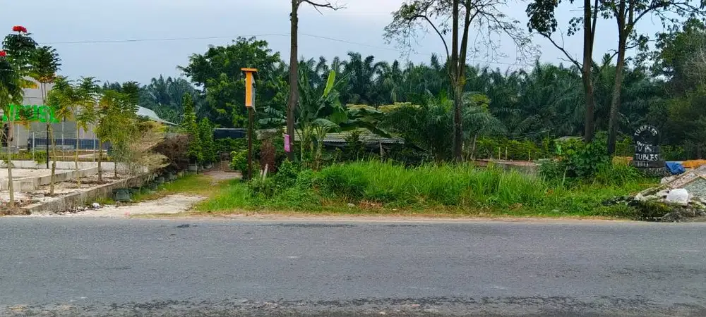JUAL CEPAT TANAH SHM
