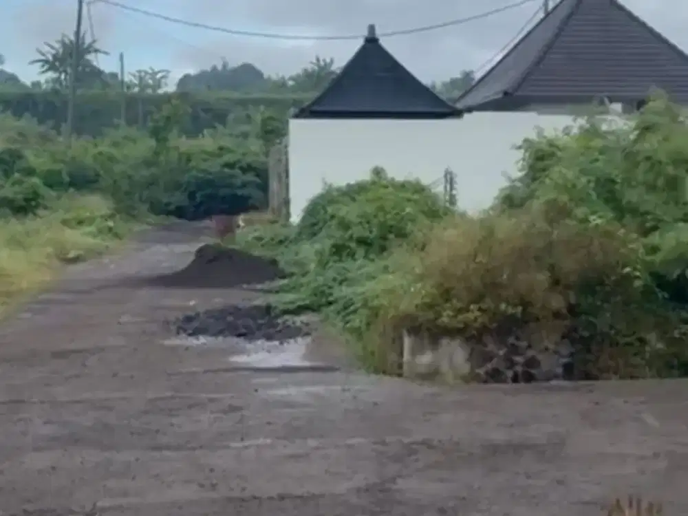 Dijula Tanah Blahbatu Gianyar Dekat Pantai