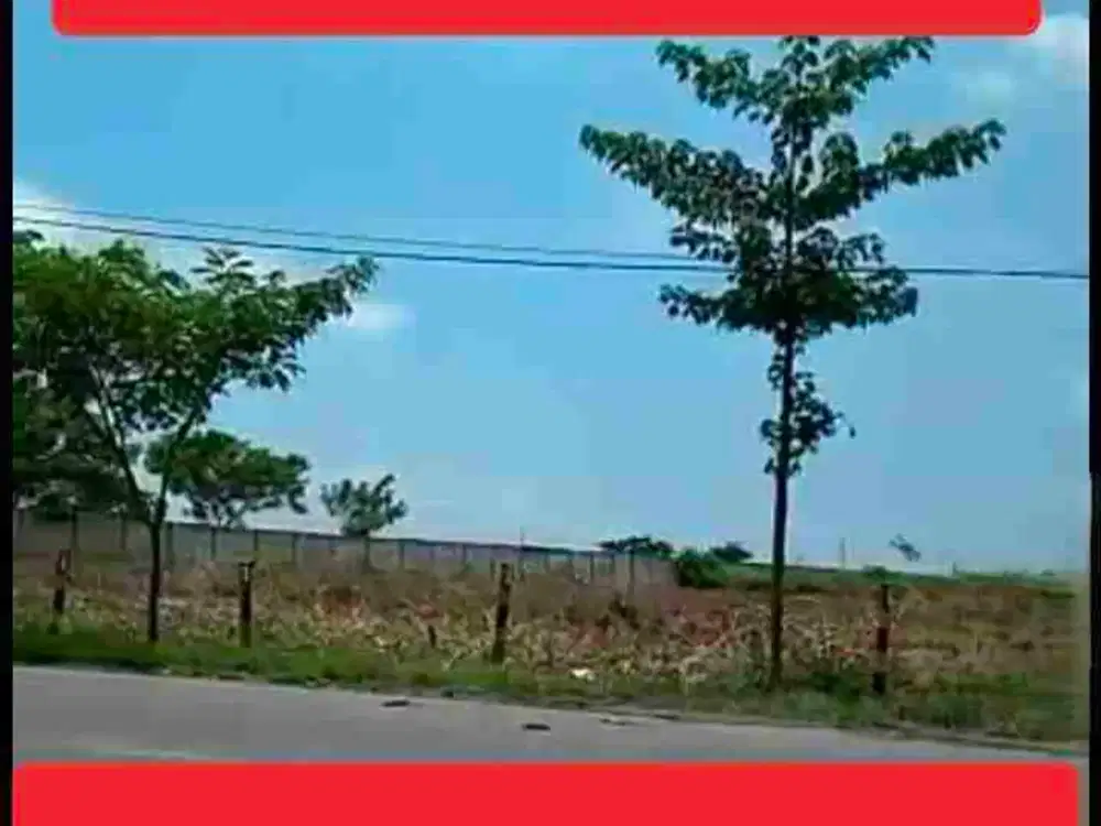 Tanah di Tuban 4 HA J Cpt kec Widang