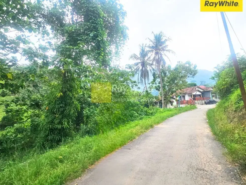 DIjual tanah di Panjang, Bandar Lampung ( kode : MEL ALF 3729)