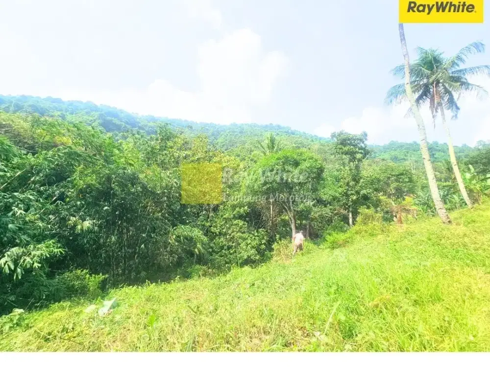 Dijual Tanah di Sukabumi, bandar lampung (Kode : MEL ALF 3730)