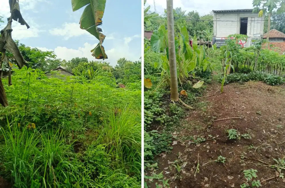 jual tanah di banymas shm cocok untuk usaha dan rumah tinggal