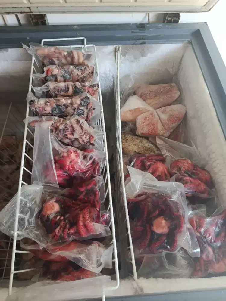 Whole gurita cook