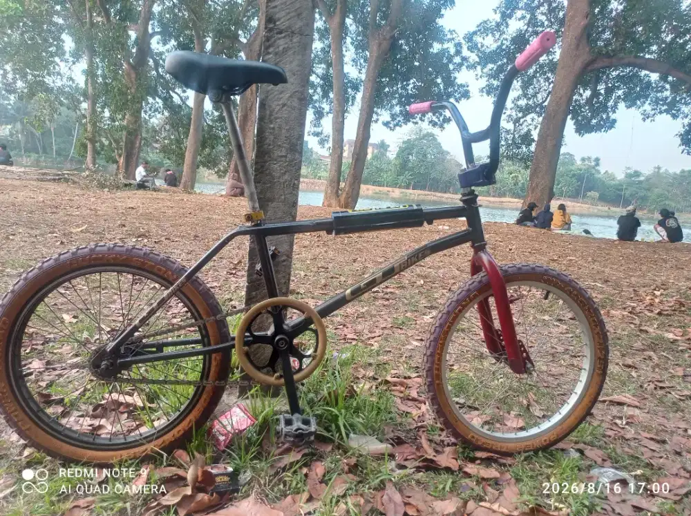 BMX Old school GT