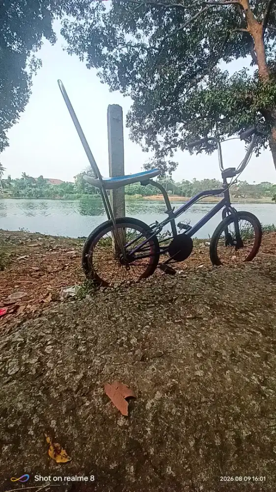 BMX Lowrider 20'