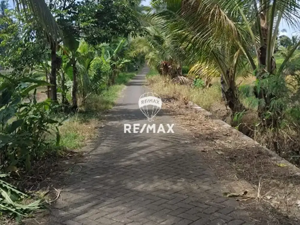 DIJUAL TANAH KEBUN SEGOBANG – LICIN, BANYUWANGI