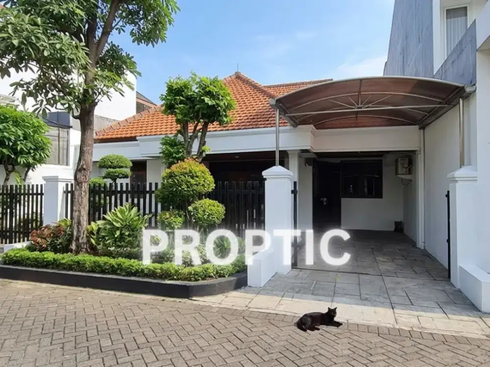Rumah 1 Lantai Rungkut Surabaya - Rm319apd