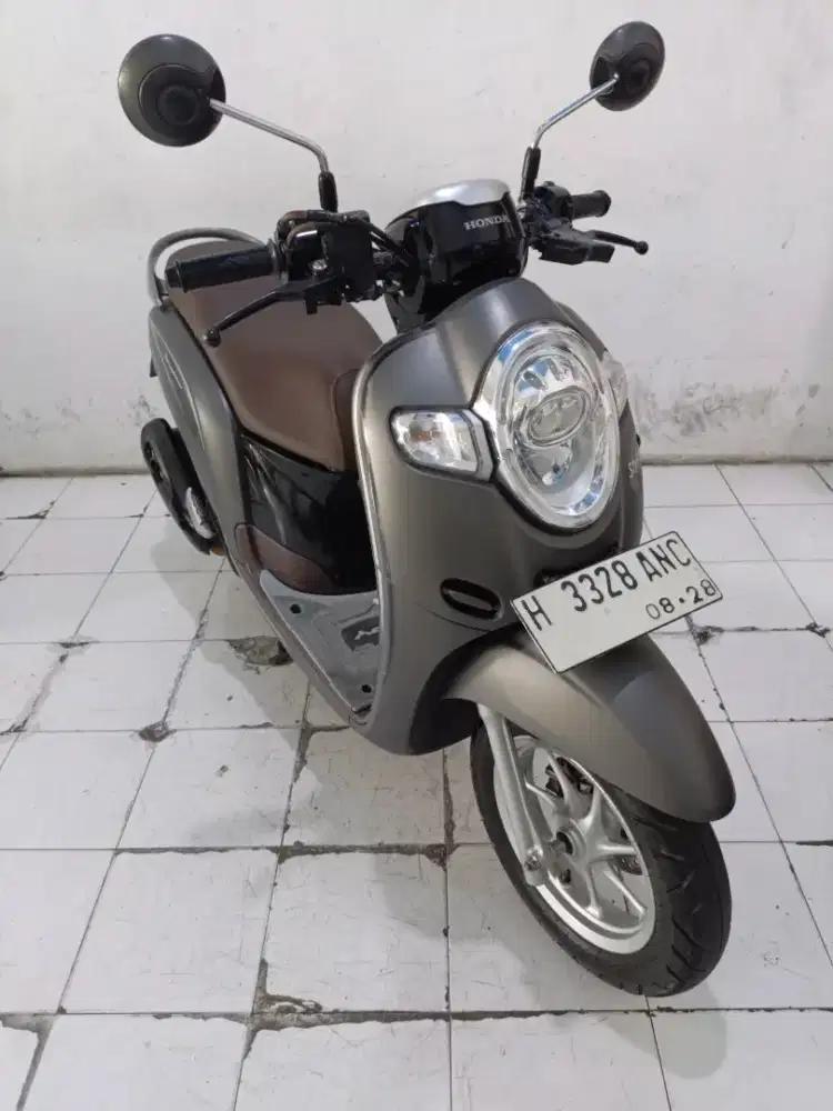 scoopy thn 2018 brown