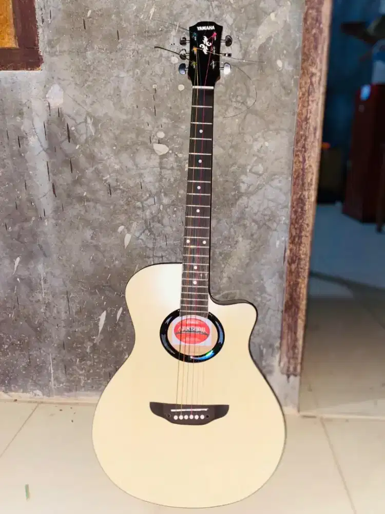 Apx500ii custom