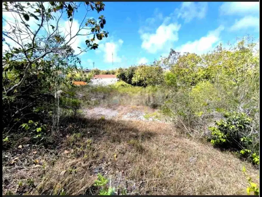 DI SEWAKAN SEGERA TANAH STRATEGIS 1205m² KUTUH KUTA SELATAN BALI.