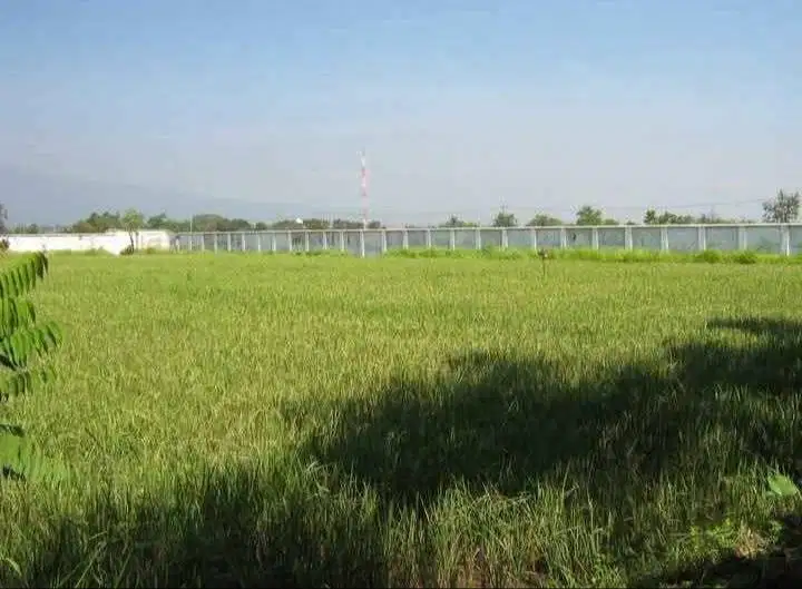 Dijual Tanah & Bangunan  Sumberwaru Nguling Pasuruan