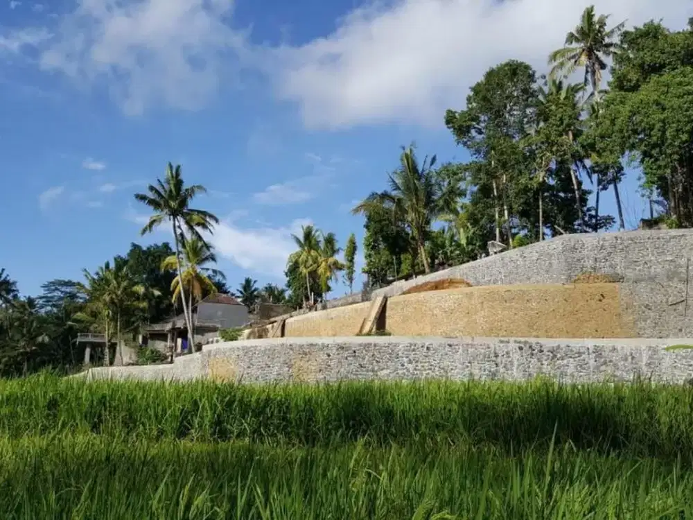 Tanah 2.549 m² Dijual di Tampaksiring, Tegallalang, Gianyar