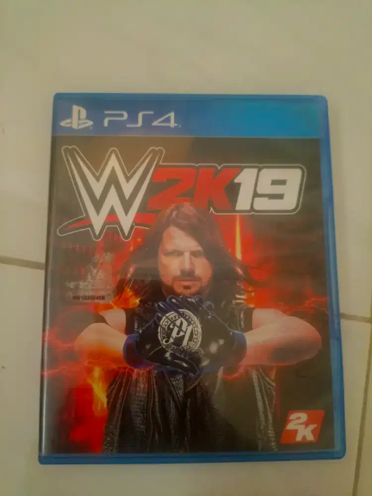BD WWE 2019 PS4