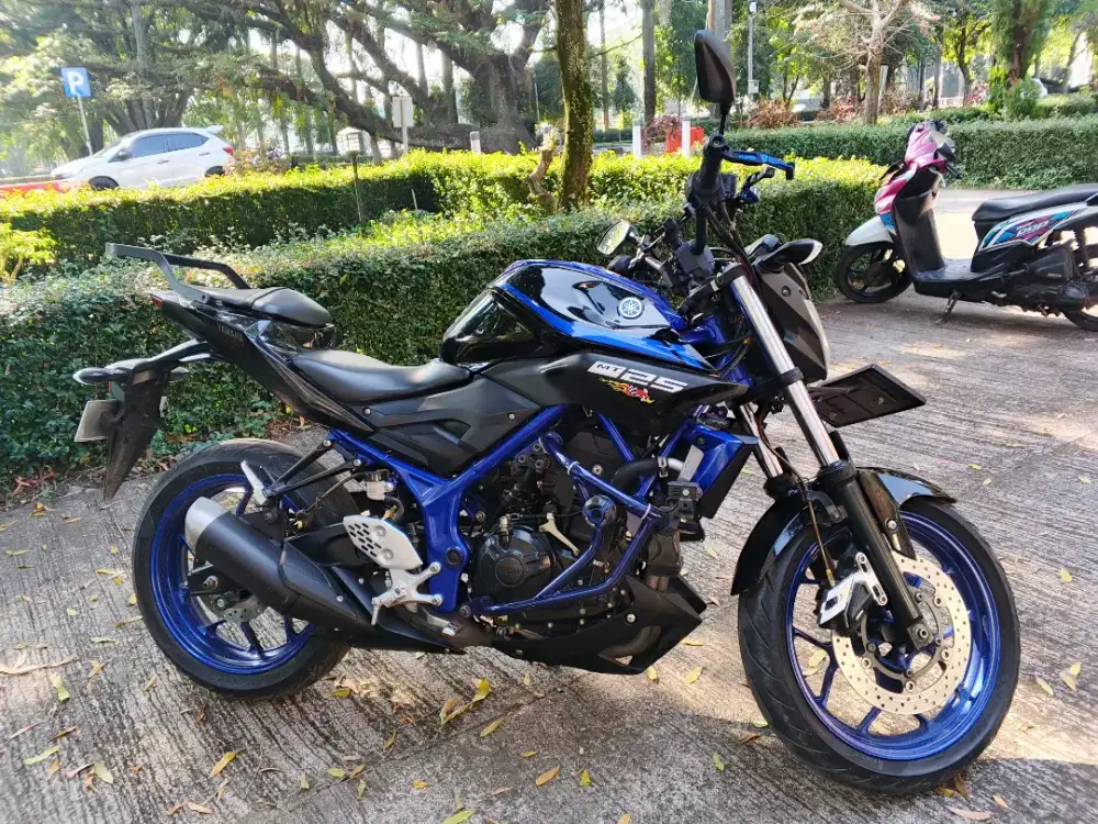 Yamaha MT 25 2017