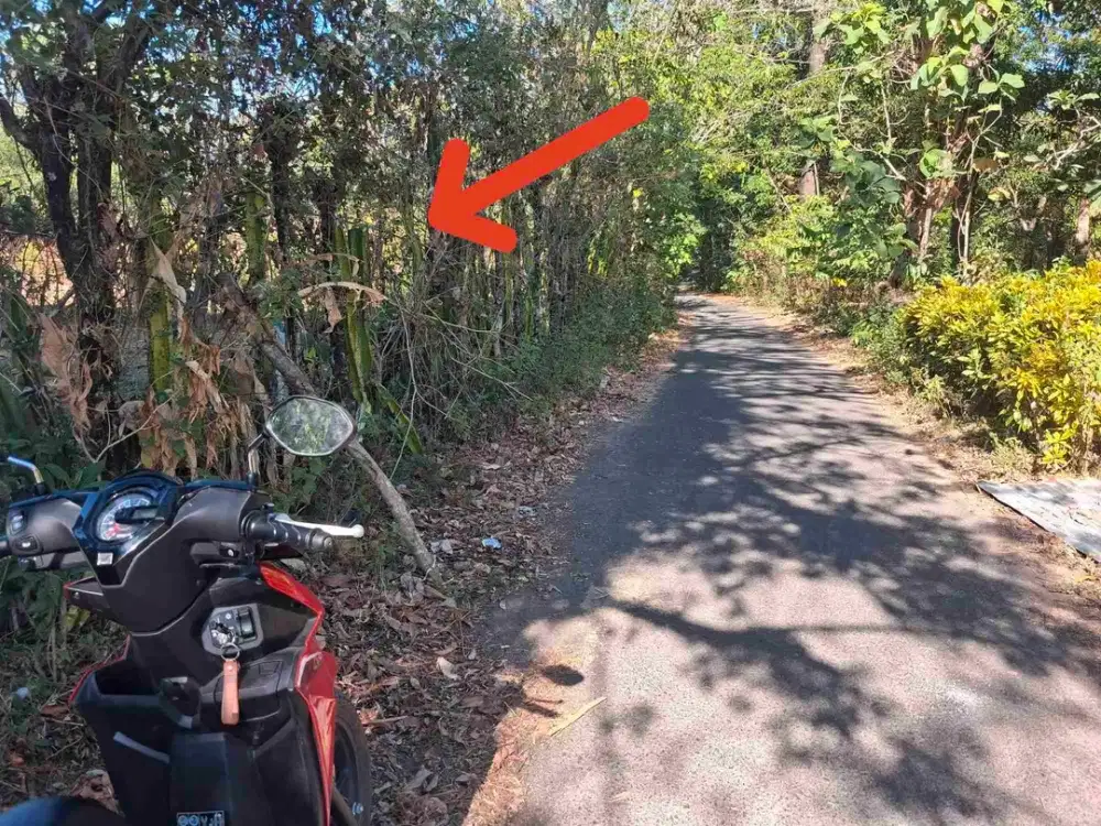 Tanah Kebun Mini Depan Jalan Aspal Lanna,  Parangloe