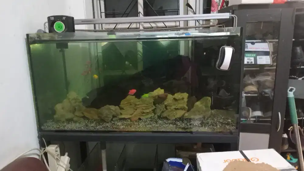 Aquarium ikan + rak besi