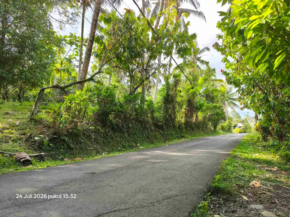 Tanah Zona Kuning View Sungai Kecil di Selemadeg Bali
