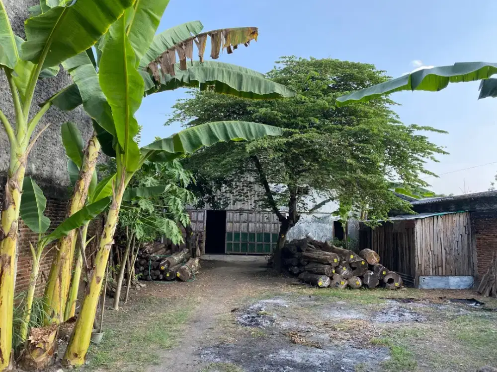 DIJUAL MURAH Ex Gudang Kayu Bojonegoro Kota SHM