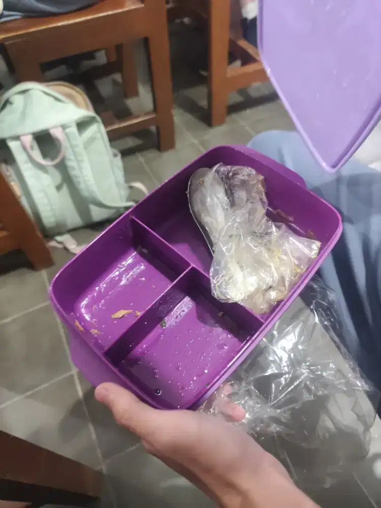 Tupperware tempat makan ungu
