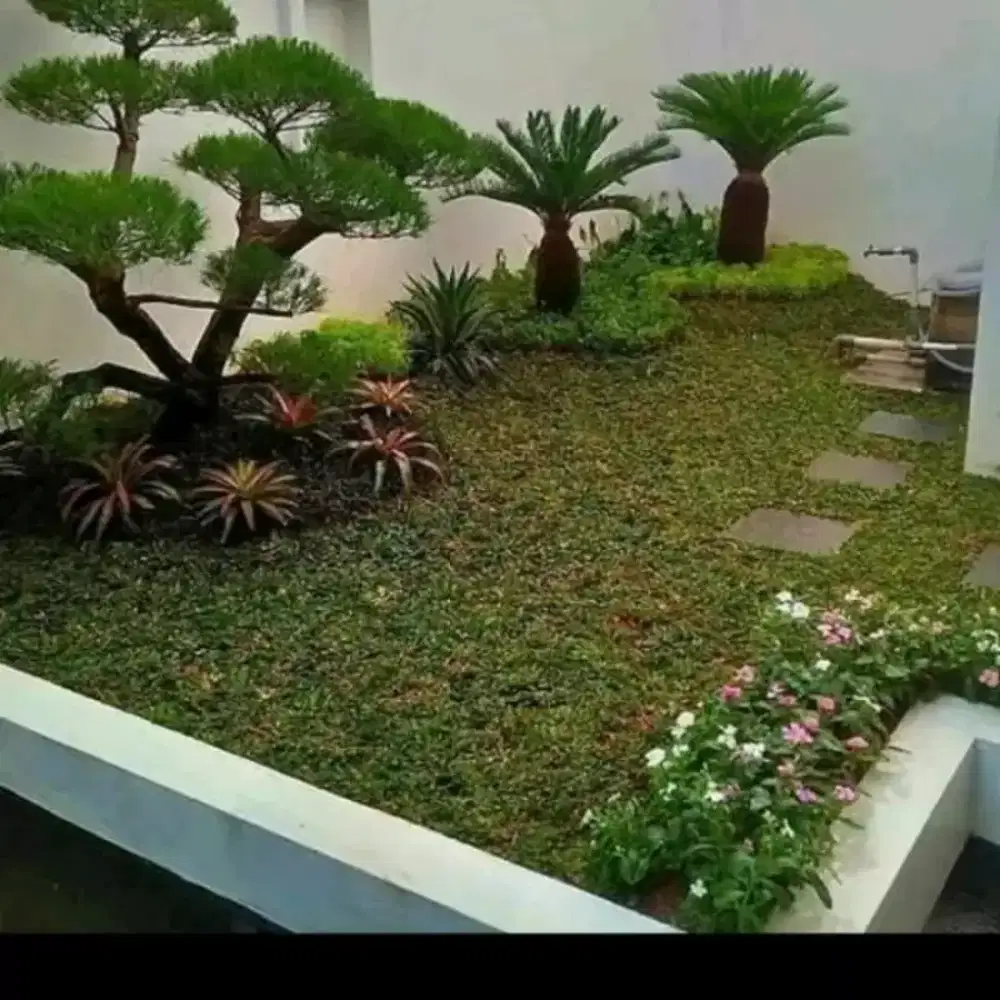 spesialis pembuat Taman dan kolam