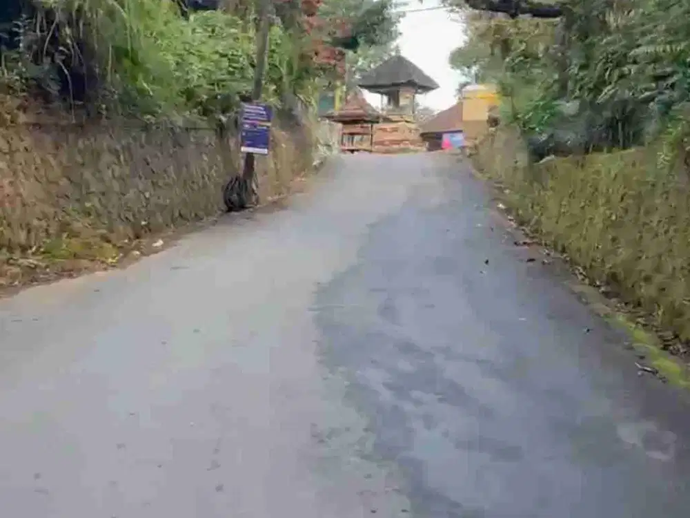Tanah Murah Los Sungai Begawan Giri Payangan Ubud Bali