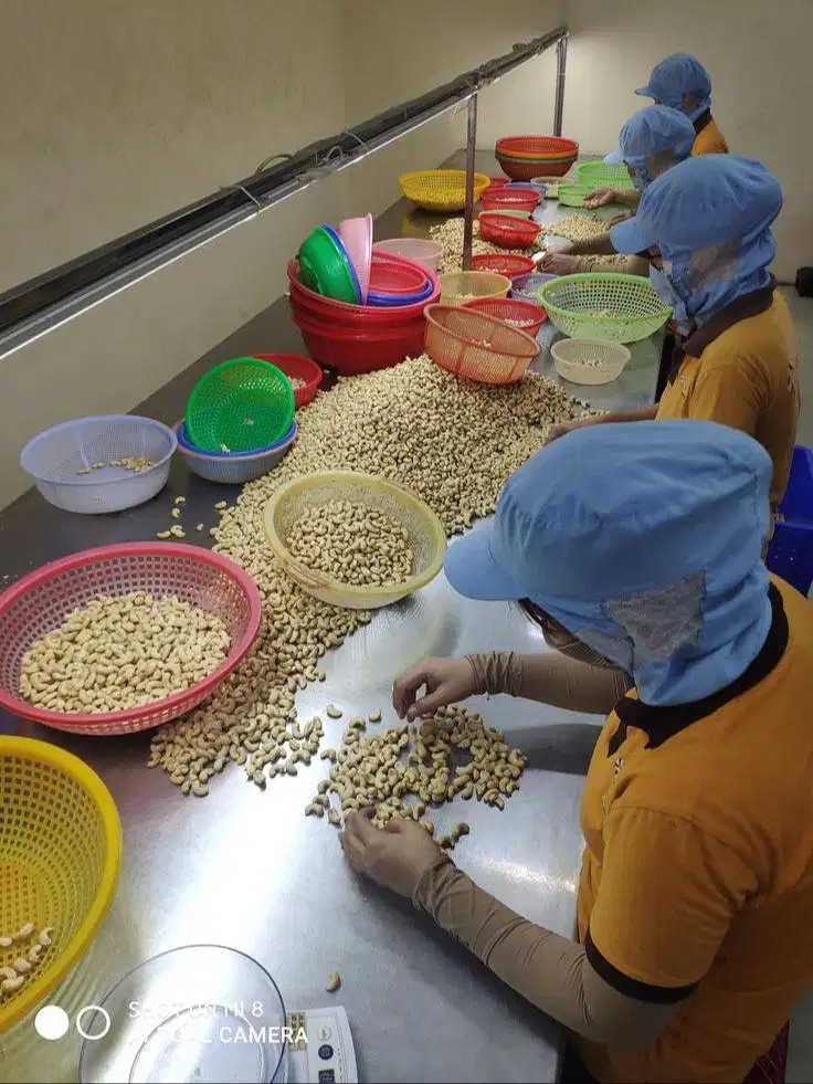 LOWONGAN KERJA SORTIR & PRODUKSI