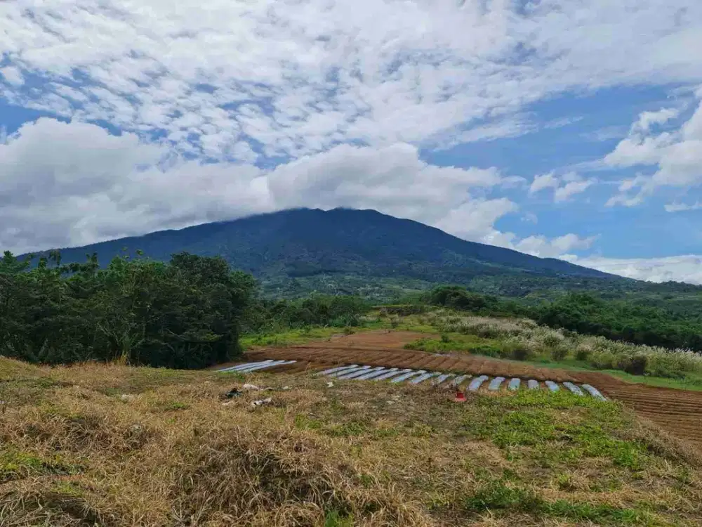 Tanah Murah Cicurug View Gunung Salak Cocok Agro Wisata Akses Bocimi Cigombong
