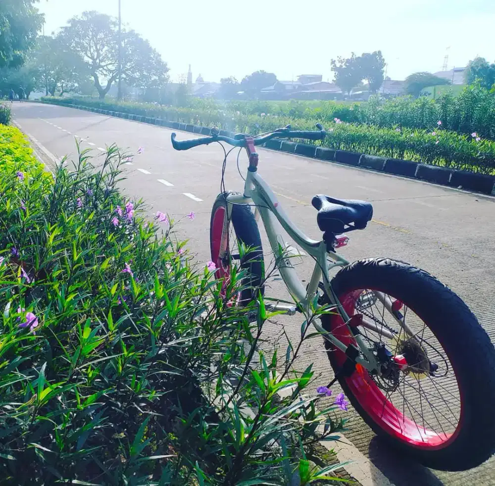 Sepeda WIM CYCLE  FATMAN  orisinil