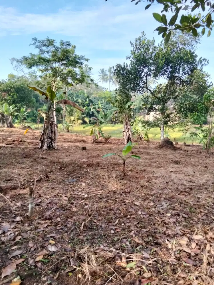 Di Jual Cepat Tanah Strategis