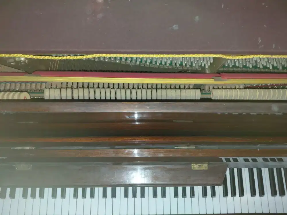 Piano Klasik Johan Bieling