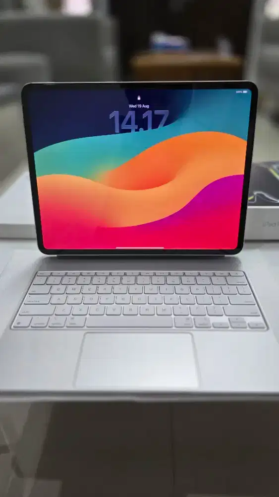 Jual Santai Ipad Pro M4 13 inch + Magic Keyboard Ori Apple