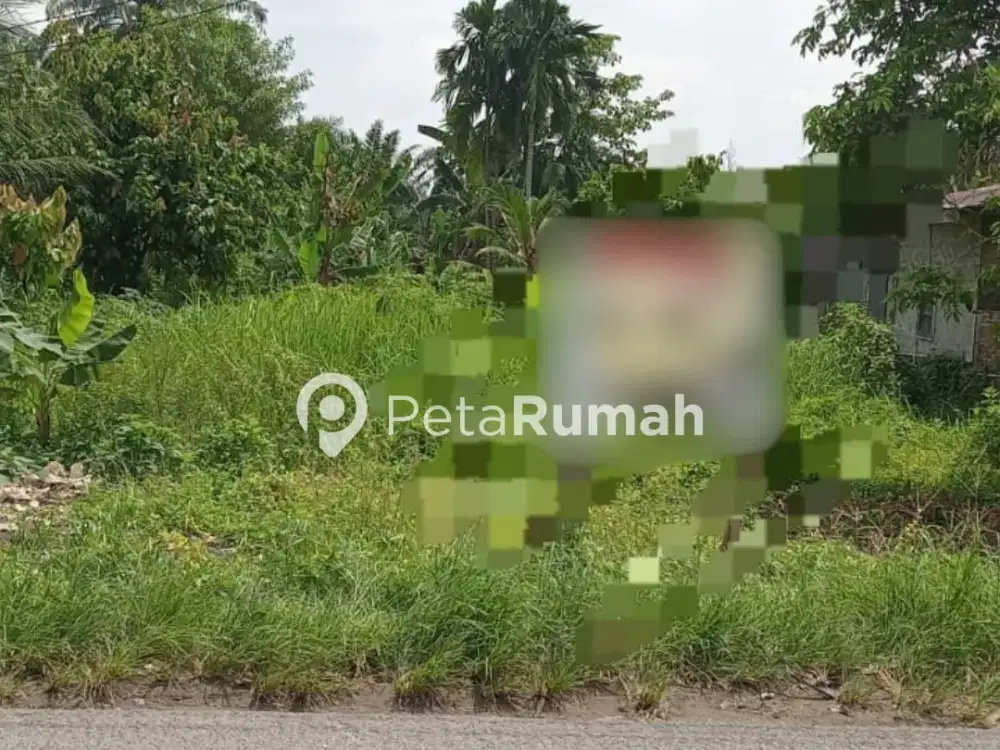 DIJUAL TANAH JALAN GUNUNG BENDAHARA - DAERAH BINJAI (LIEPHING)