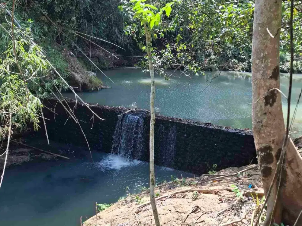 dijual tanah los sungai jernih berbatu lokasi sangat strategis dekat dengan jalan denpasar gilimanuk dijual di bawah harga pasar