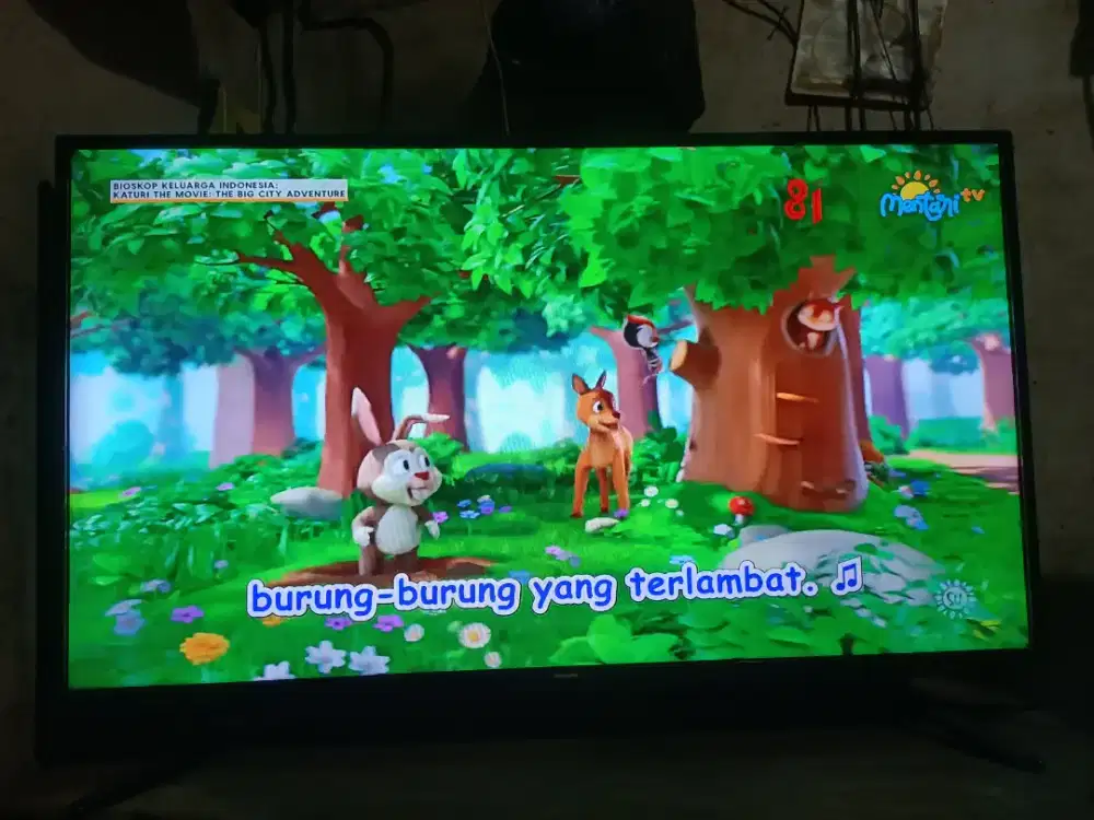 Tv led Philips 40 digital