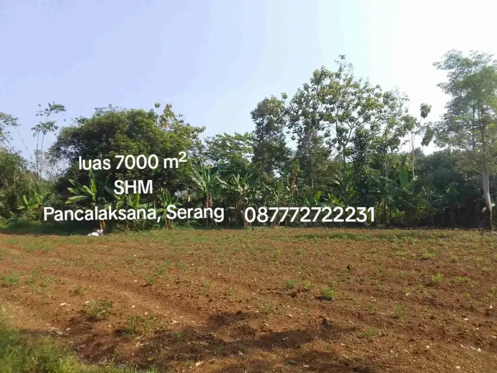 Tanah Murah dijual di Serang kota Banten luas 7000 m²