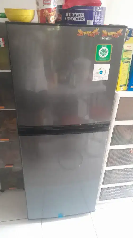 Kulkas sharp 2 pintu