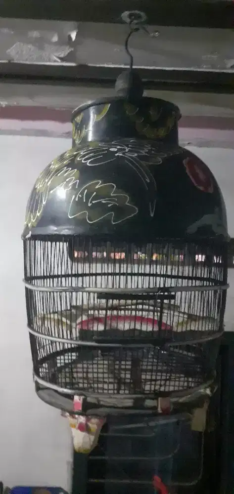 Sangkar kutut kayu dempul bagus siap pakai