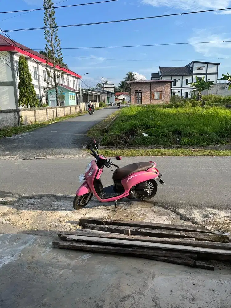 Motor Honda Scoopy 2024
