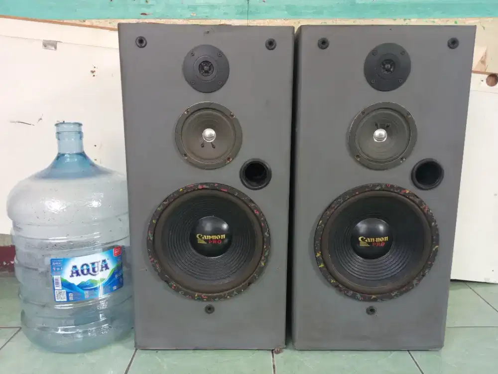 SPEAKER PASIF 10 INC CANON