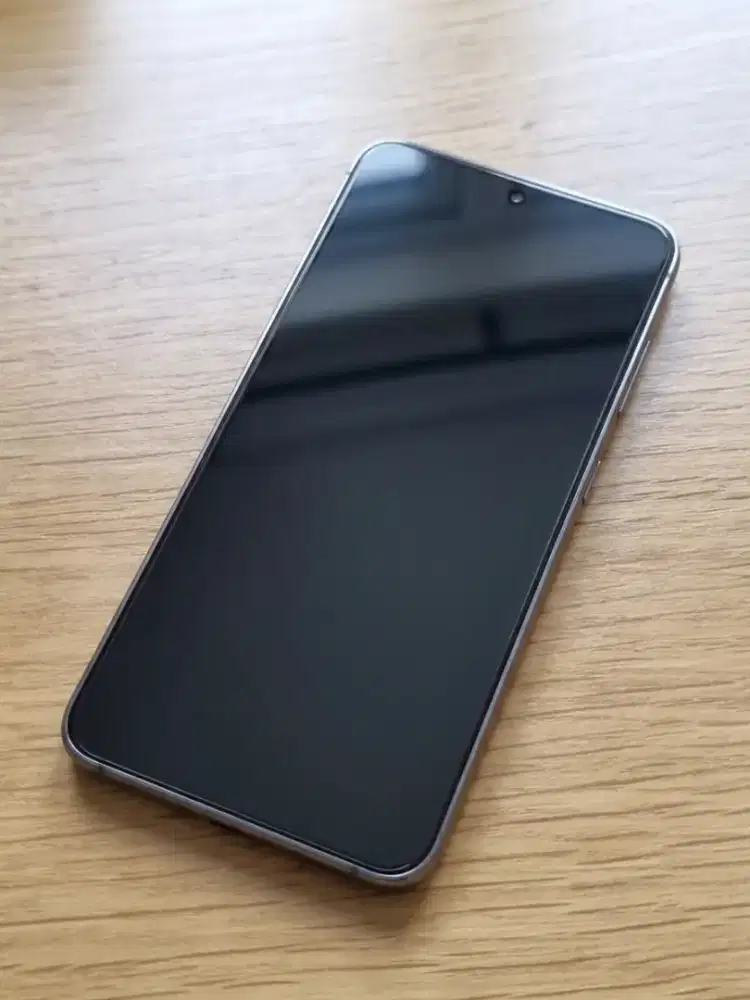 Samsung Galaxy S24 (Nego)