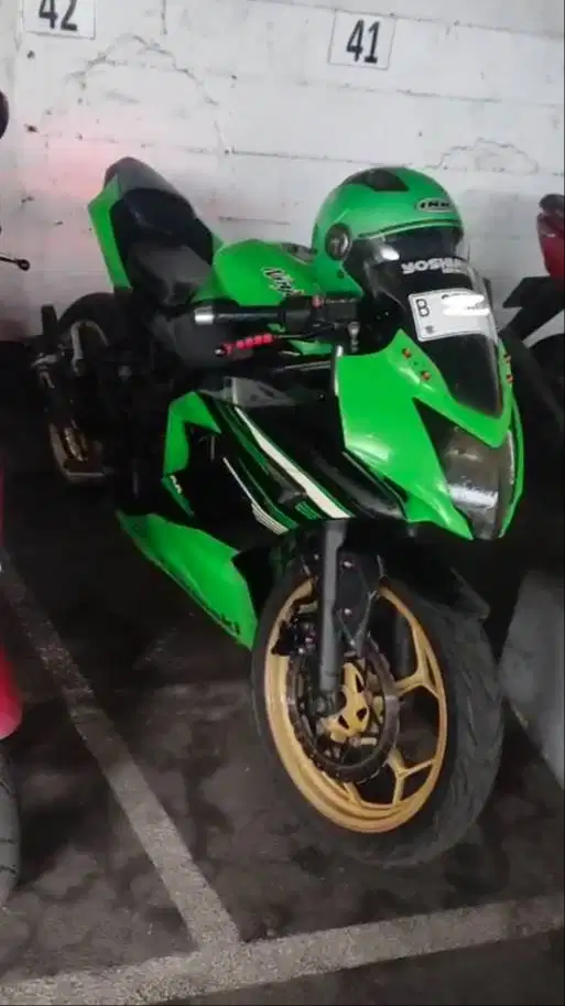 Kawasaki Ninja 250SL (BX250A/RR Mono) 2014