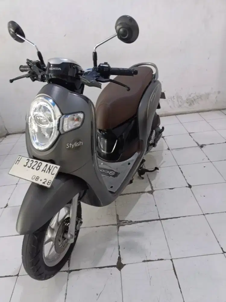 scoopy thn 2018 brown