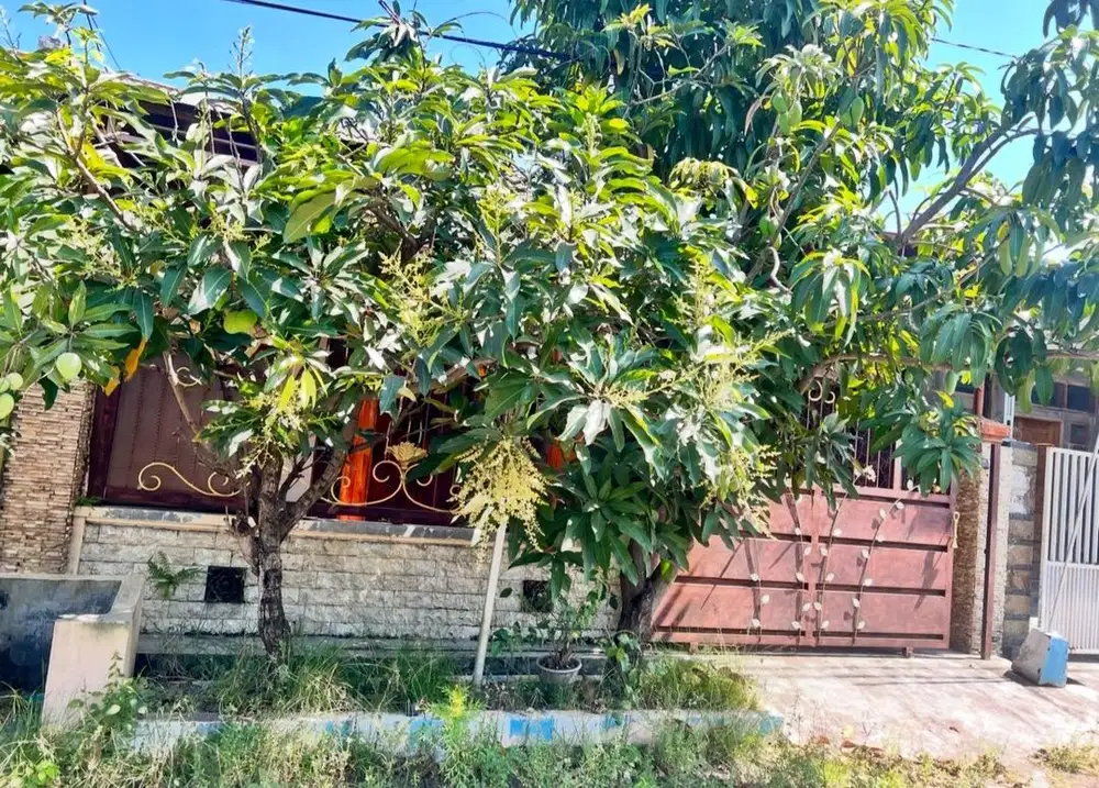 Di sewakan rumah dekat bandara juanda