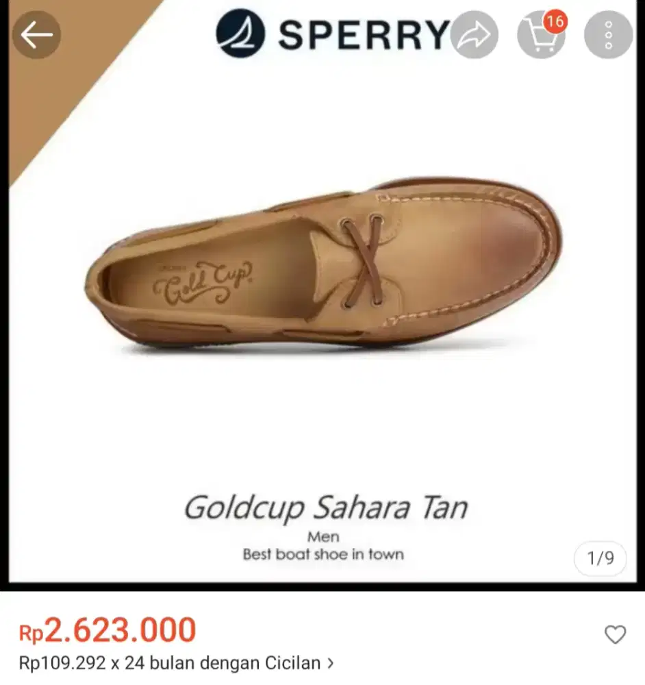 Sperry top sider